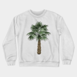 Palmetto Tree Crewneck Sweatshirt